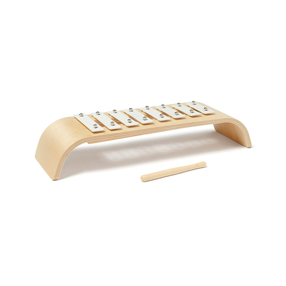 Kid's Concept wooden xylophone on a white background