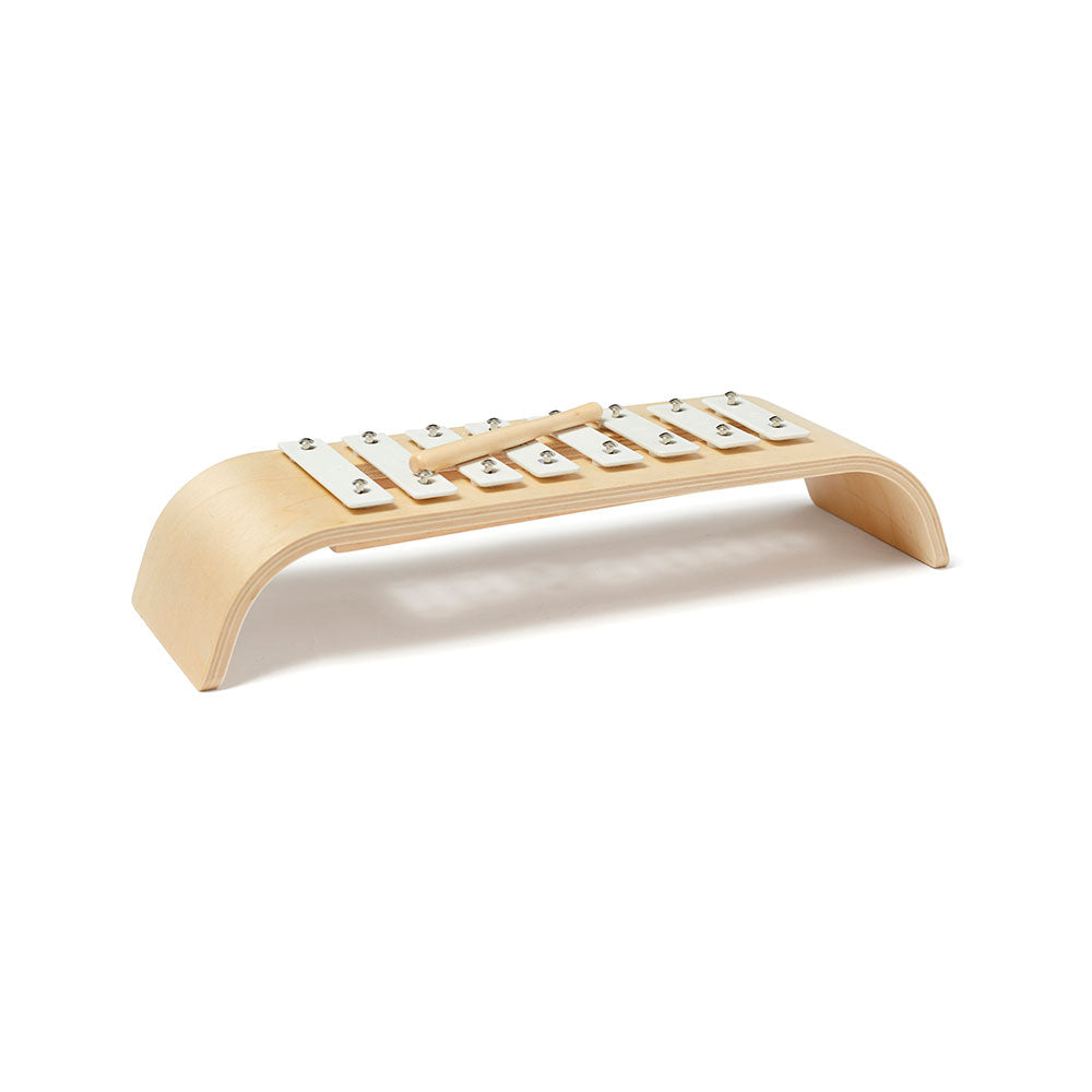 Kid's Concept wooden xylophone on a white background