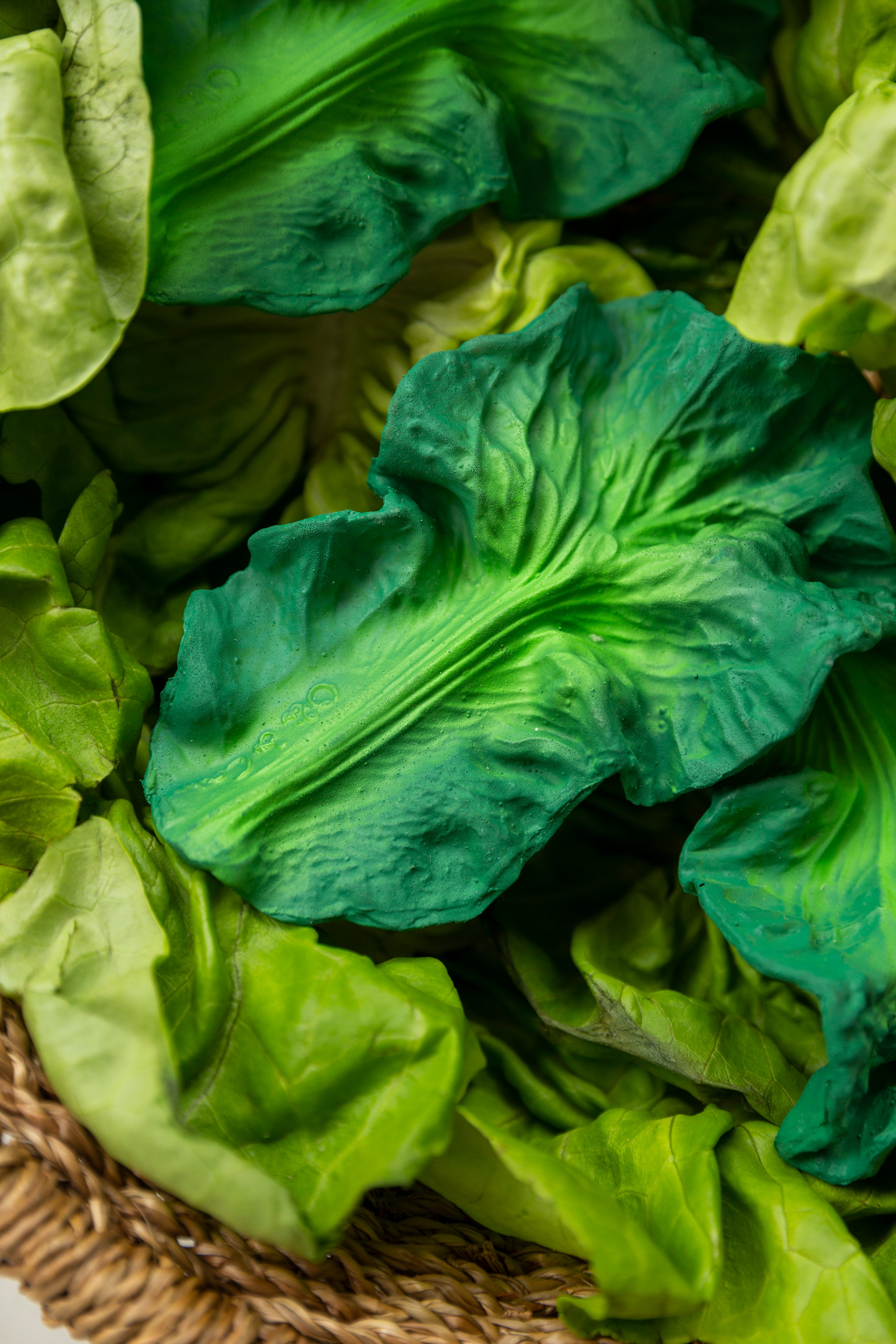Close-up of an Oli & Carol Kendall the Kale natural rubber teether lying in a woven basket surrounded by green leafy vegetables